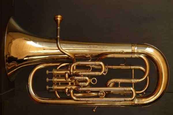 Bombardi web banda mollet