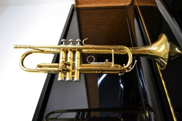 Trompeta web banda mollet